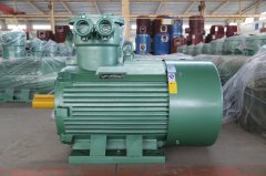 氣體防爆電機(jī)ExdIIBT4Gb的是什么意思？